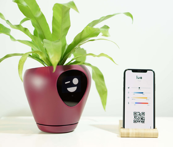 ابتكار أصائص زرع ذكية تحول النبات لكائن يُعبر عن احتياجاته! صور صورة رقم 7 ابتكار أصائص زرع ذكية تحول النبات لكائن يُعبر عن احتياجاته! صور صورة رقم 7