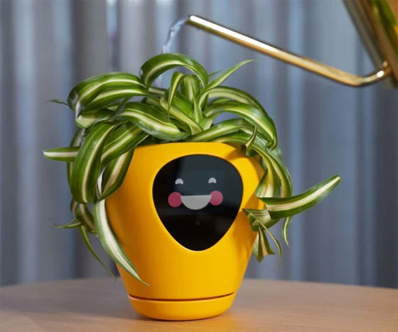 ابتكار أصائص زرع ذكية تحول النبات لكائن يُعبر عن احتياجاته! صور صورة رقم 9 ابتكار أصائص زرع ذكية تحول النبات لكائن يُعبر عن احتياجاته! صور صورة رقم 9