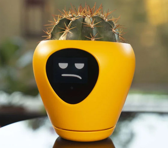 ابتكار أصائص زرع ذكية تحول النبات لكائن يُعبر عن احتياجاته! صور صورة رقم 10 ابتكار أصائص زرع ذكية تحول النبات لكائن يُعبر عن احتياجاته! صور صورة رقم 10