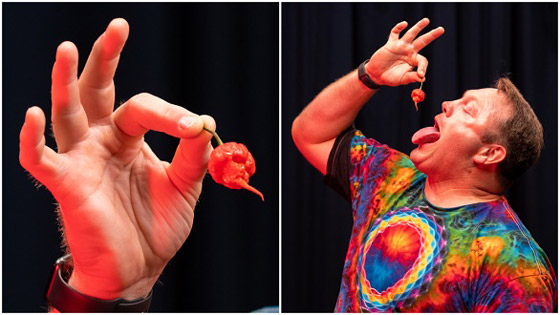 أغرب أرقام قياسية تم تسجيلها في غينيس عام 2022 صورة رقم 5