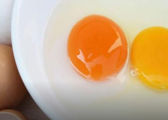 هل صفار البيض مضر بالصحة؟ اعرف الإجابة صورة رقم 1