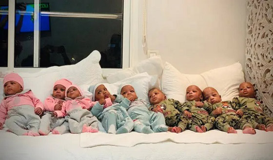 تنجب 9 توائم في حمل واحد صورة رقم 2