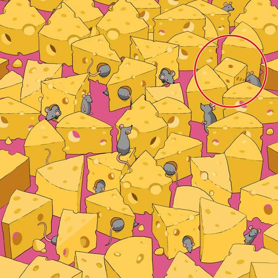 1% فقط عثروا على النرد بين الفئران وقطع الجبن بـ11 ثانية.. فهل أنت منهم؟ صورة رقم 2