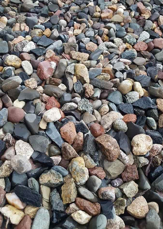 بين هذه الأحجار يختبئ ضفدع.. سنمهلك 11 ثانية لاكتشافه صورة رقم 1