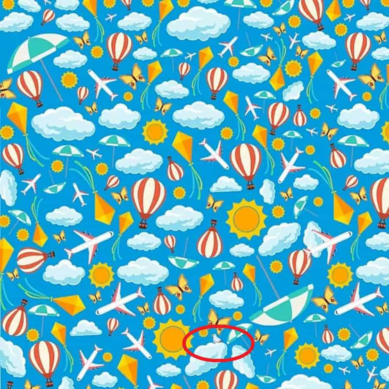 يوجد طائر مخفي في الصورة.. هل يمكنك اكتشافه بـ9 ثوان؟ صورة رقم 2