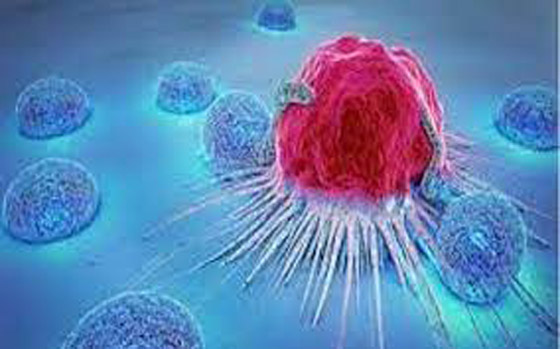 تتغلب على السرطان وتصبح باحثة في المستشفى الذي عولجت فيه صورة رقم 4