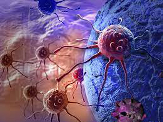 تتغلب على السرطان وتصبح باحثة في المستشفى الذي عولجت فيه صورة رقم 5