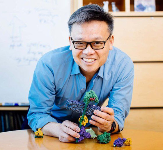 جديد العلم.. جديد العلم..