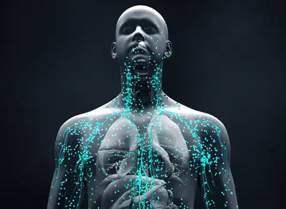 جديد العلم.. جديد العلم..