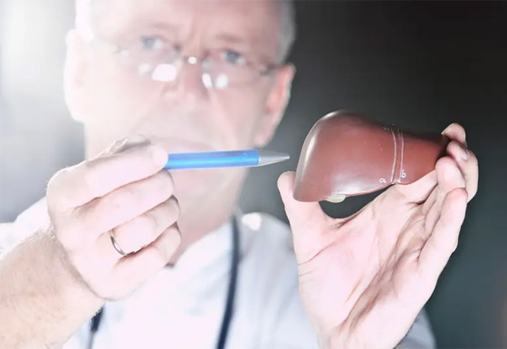 جديد العلم.. جديد العلم..