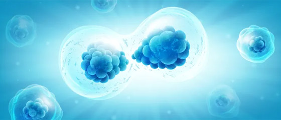 جديد العلم.. جديد العلم..