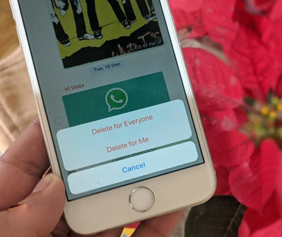 إذا اخترت إذا اخترت