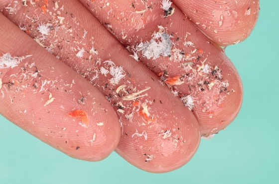 تعرفوا إلى أبرز اكتشافات علمية في 2022 غيرت شكل العالم الذي نعرفه صورة رقم 5