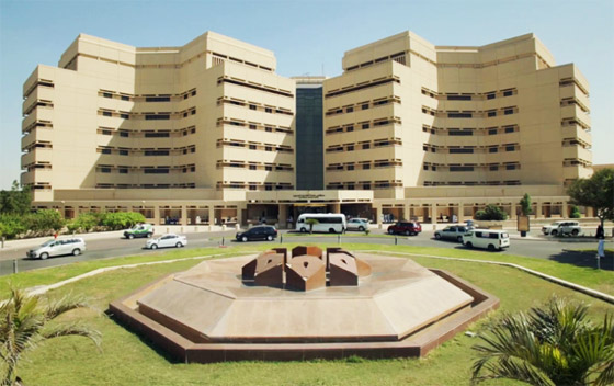 صورة رقم 4 - جامعة عربية وحيدة تخترق ترتيب صورة رقم 4 - جامعة عربية وحيدة تخترق ترتيب