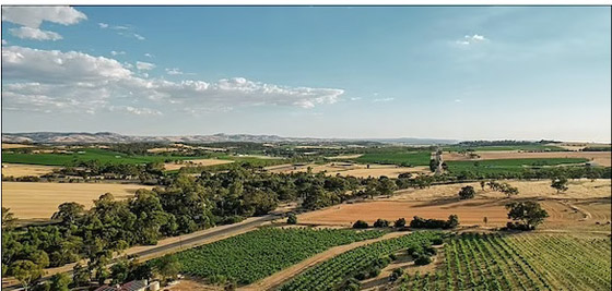 يشغل مصنعه بالكامل باستخدام الطاقة الشمسية من سيارته صورة رقم 4