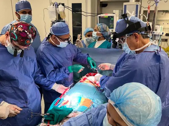 شارك بها 13 طبيبا.. نجاح أول عملية زراعة رئة من متبرعين أحياء بمصر صورة رقم 1 شارك بها 13 طبيبا.. نجاح أول عملية زراعة رئة من متبرعين أحياء بمصر صورة رقم 1