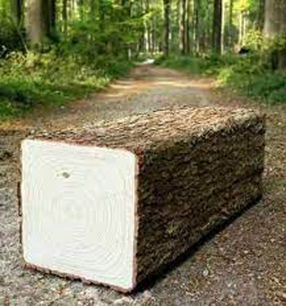 هل سمعت عن وادي الأشجار المربعة من قبل؟ تعرف عليه! صورة رقم 7