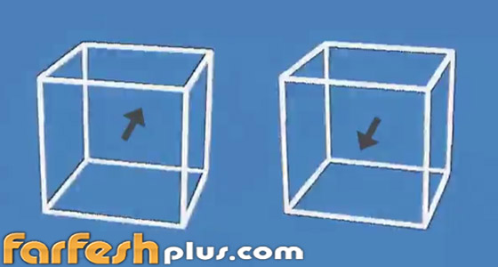 فيديو: انظر جيدا وأخبرنا إلى أي اتجاه يتحرك المكعبان؟ صورة رقم 2