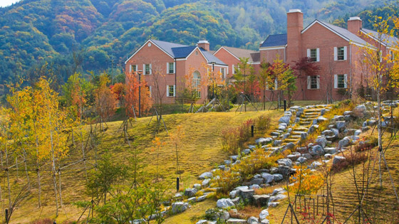 أسباب زيارة المملكة المتحدة في الشتاء صورة رقم 1