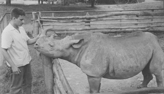 إليكم أشهر الحيوانات التي تم ترشيحها وتوليها لمناصب سياسية مهمة صورة رقم 3 إليكم أشهر الحيوانات التي تم ترشيحها وتوليها لمناصب سياسية مهمة صورة رقم 3