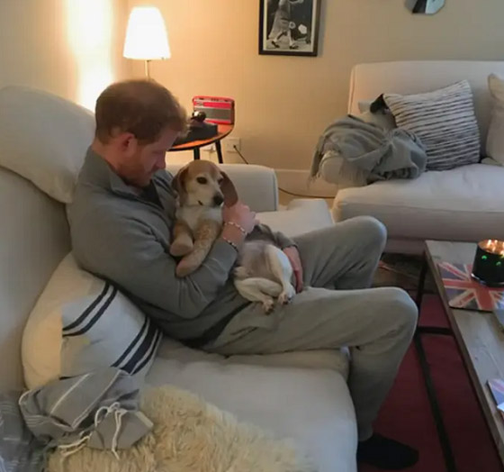 جولة داخل المنزل الريفى للأمير هارى وميجان ببريطانيا.. بعد نشر مذكراته صورة رقم 8