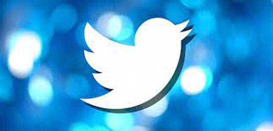 اختراق بيانات 200 مليون مستخدم.. زلزال يضرب تويتر   صورة رقم 7
