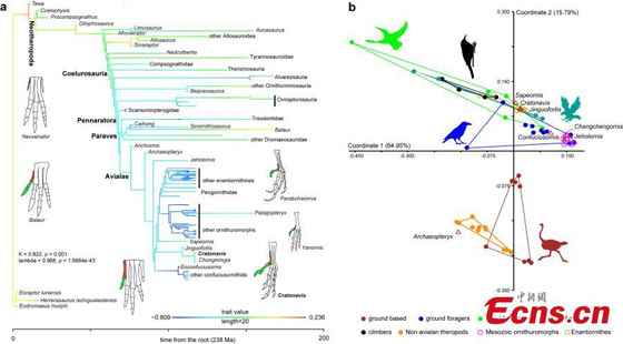 اكتشاف غريب الأطوار.. حيوان برأس ديناصور وجسم طائر! فيديو وصور صورة رقم 9 اكتشاف غريب الأطوار.. حيوان برأس ديناصور وجسم طائر! فيديو وصور صورة رقم 9