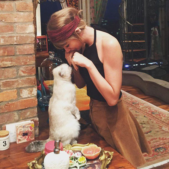 أغنى قطة في العالم.. ثروتها 97 مليون دولار وتملكها ممثلة مشهورة صورة رقم 8