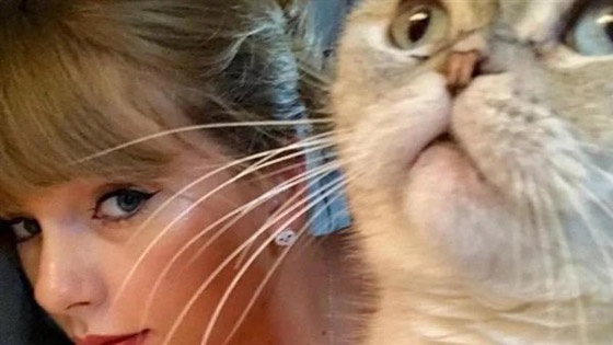 أغنى قطة في العالم.. ثروتها 97 مليون دولار وتملكها ممثلة مشهورة صورة رقم 10