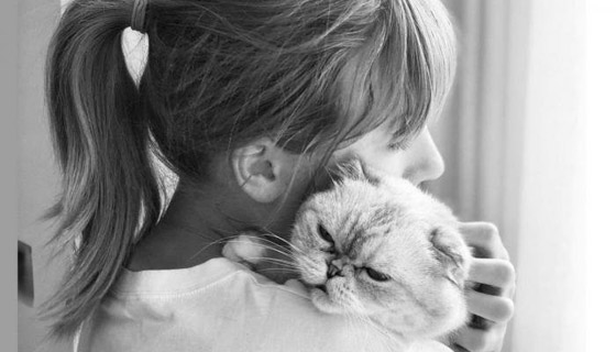 أغنى قطة في العالم.. ثروتها 97 مليون دولار وتملكها ممثلة مشهورة صورة رقم 12