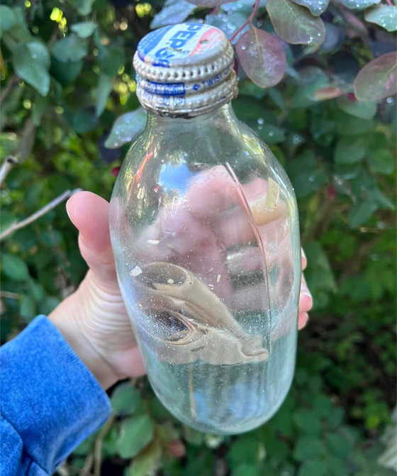أغرب من الخيال: رسالة بزجاجة تعود لصاحبها بعد 37 عاما من رميها بالبحر صورة رقم 3