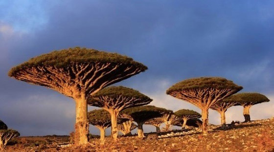 تعرف على البقعة الأكثر غرابة على الأرض صورة رقم 1