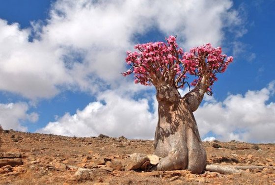 تعرف على البقعة الأكثر غرابة على الأرض صورة رقم 4