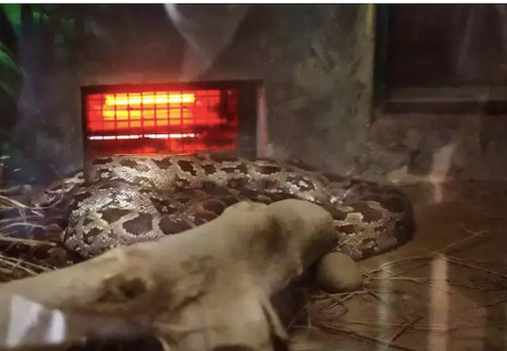 أشياء عليك أخذها بالاعتبار عند شراء مدفأة جديدة صورة رقم 4