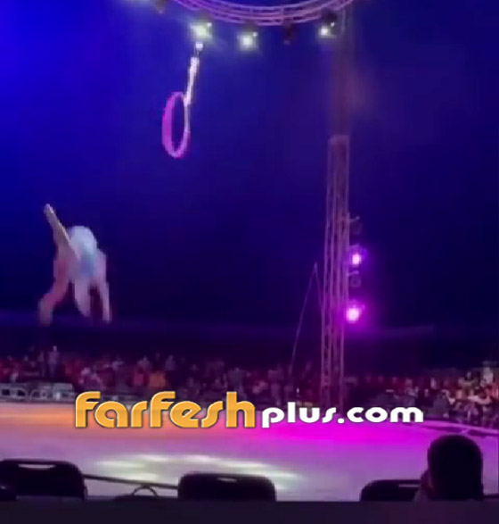 فيديو يحبس الأنفاس: سقوط مروع للاعبة سيرك بعدما خانها الطوق! صورة رقم 3 فيديو يحبس الأنفاس: سقوط مروع للاعبة سيرك بعدما خانها الطوق! صورة رقم 3