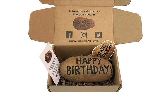 أغرب 6 أفكار مشاريع تجارية على الإطلاق! صورة رقم 5