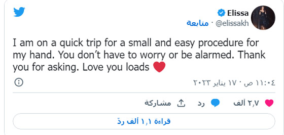 إليسا تسافر إلى أمريكا لاجراء عملية جراحية في يدها.. صورة رقم 1 إليسا تسافر إلى أمريكا لاجراء عملية جراحية في يدها.. صورة رقم 1