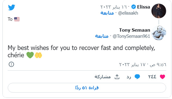 إليسا تسافر إلى أمريكا لاجراء عملية جراحية في يدها.. صورة رقم 2 إليسا تسافر إلى أمريكا لاجراء عملية جراحية في يدها.. صورة رقم 2