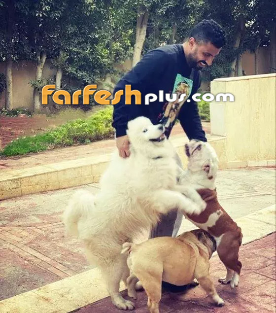 بالصور: شاهد لأول مرة فخامة منزل مي عمر.. الحديقة الخلفية من عالم آخر! صورة رقم 6 بالصور: شاهد لأول مرة فخامة منزل مي عمر.. الحديقة الخلفية من عالم آخر! صورة رقم 6