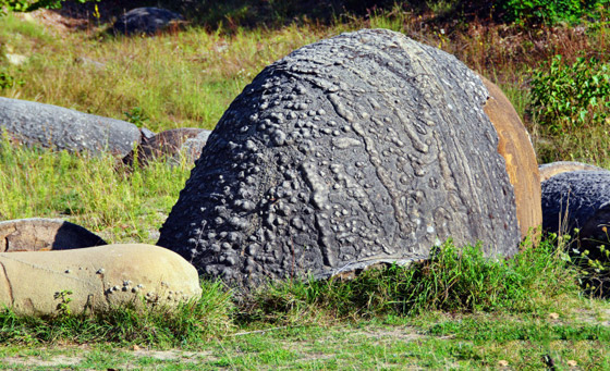 ظاهرة غريبة في رومانيا.. ما قصة 