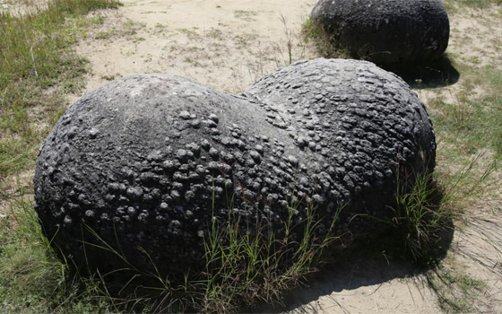 ظاهرة غريبة في رومانيا.. ما قصة 