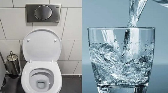 مطعم في بلجيكا يعيد تدوير مياه المراحيض ويقدمها للزبائن صورة رقم 2