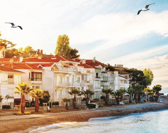 تعرفوا إلى قصة 