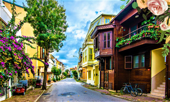 تعرفوا إلى قصة 