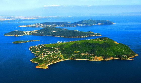 تعرفوا إلى قصة 