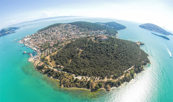 تعرفوا إلى قصة 