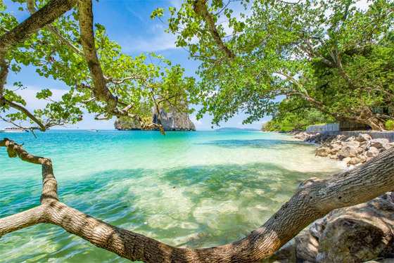 تعرفوا إلى قصة 