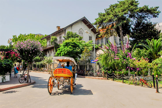 تعرفوا إلى قصة 