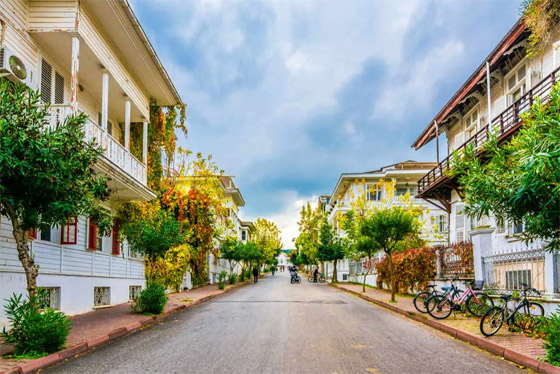 تعرفوا إلى قصة 