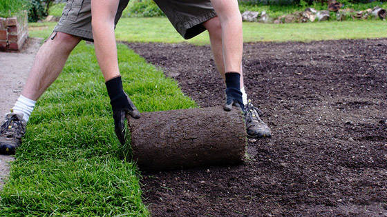 أغرب التخصصات الجامعية التي لم تسمع بها من قبل! صورة رقم 3